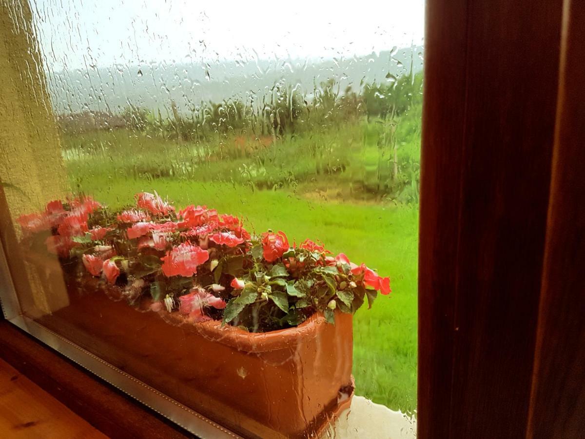 Malavi Guest House Krasen! Comfort&Clean! מראה חיצוני תמונה